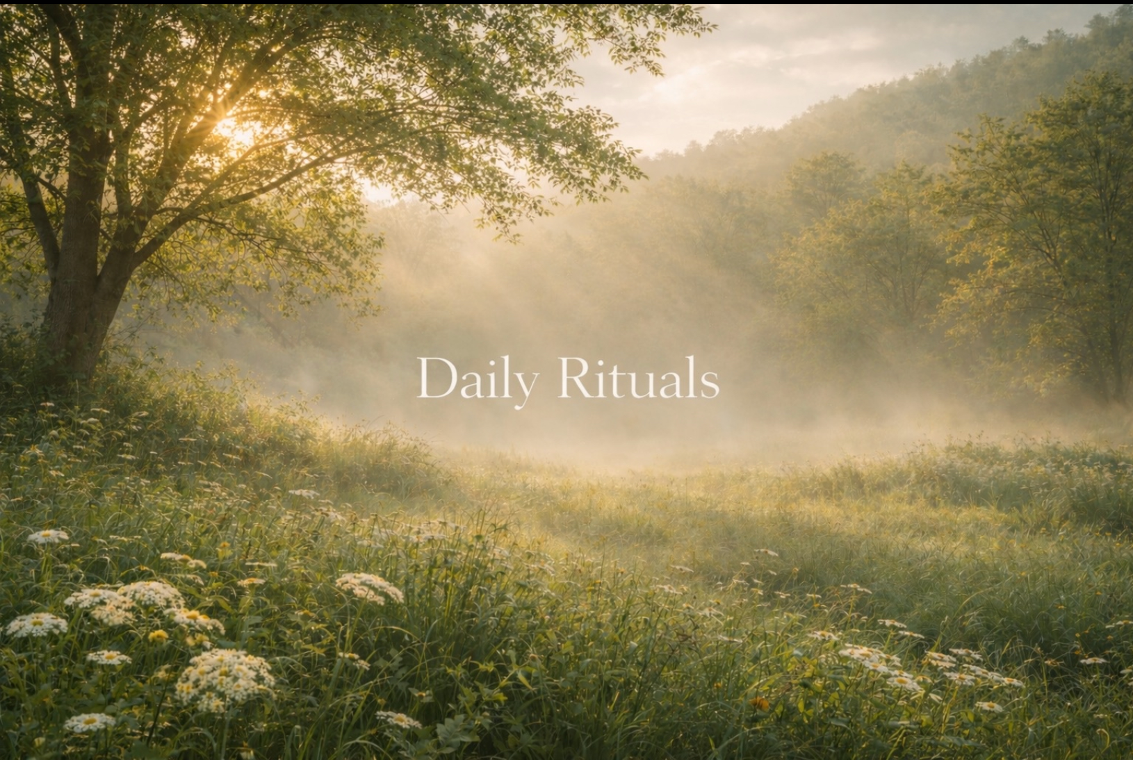 DAILY RITUALS